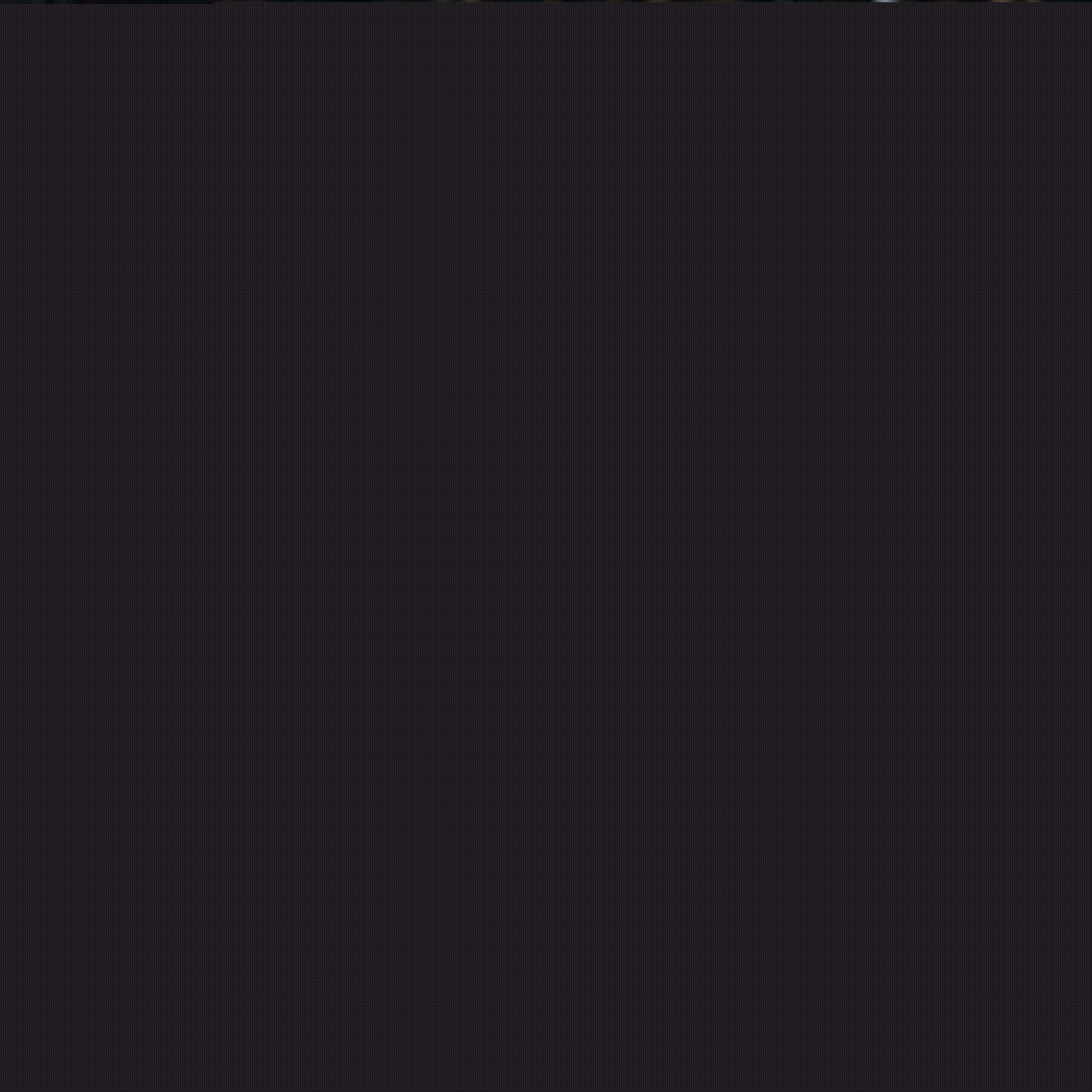 洛普的执教